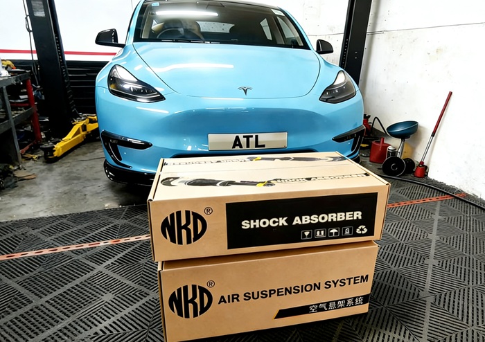 Shock Absorbers for Tesla