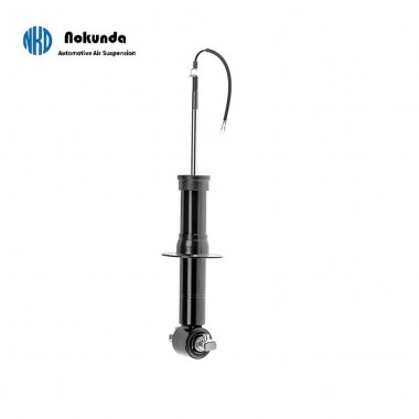 MagneRide Shock Absorber